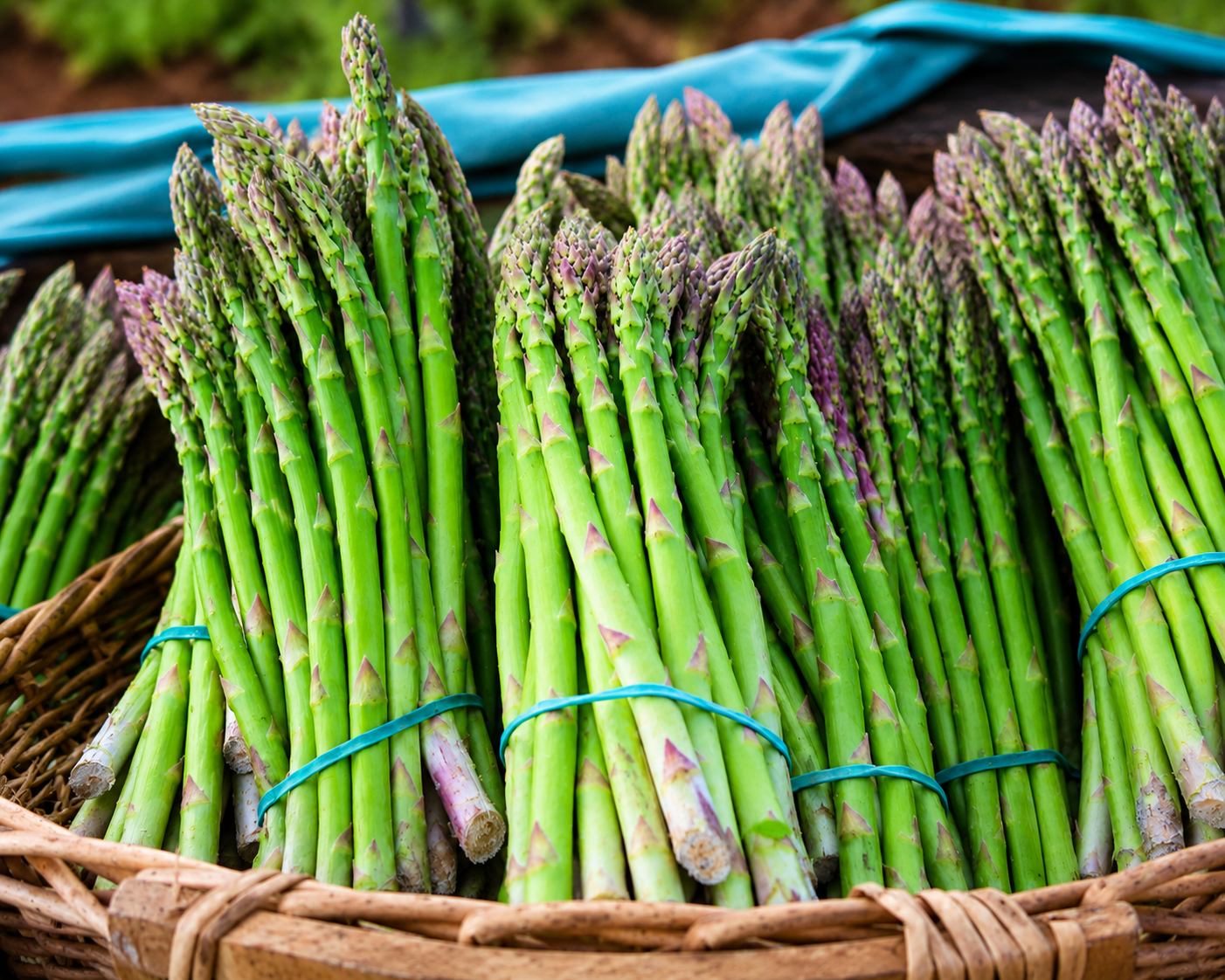 Fresh local BC asparagus bunches at Don-O-Ray Farms market in Kelowna