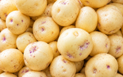 Fresh Potatoes Are In at Don-O-Ray Farm Market in Kelowna