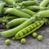 Fresh farm-grown green peas at Don-O-Ray Farm market, Kelowna, showcasing crisp, vibrant pea pods harvested for peak freshness