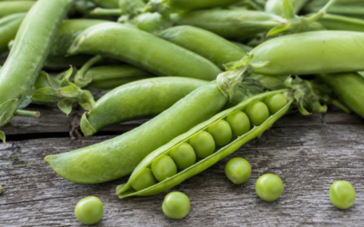 Fresh Peas in Kelowna: A Local Favourite at Don-O-Ray Farms