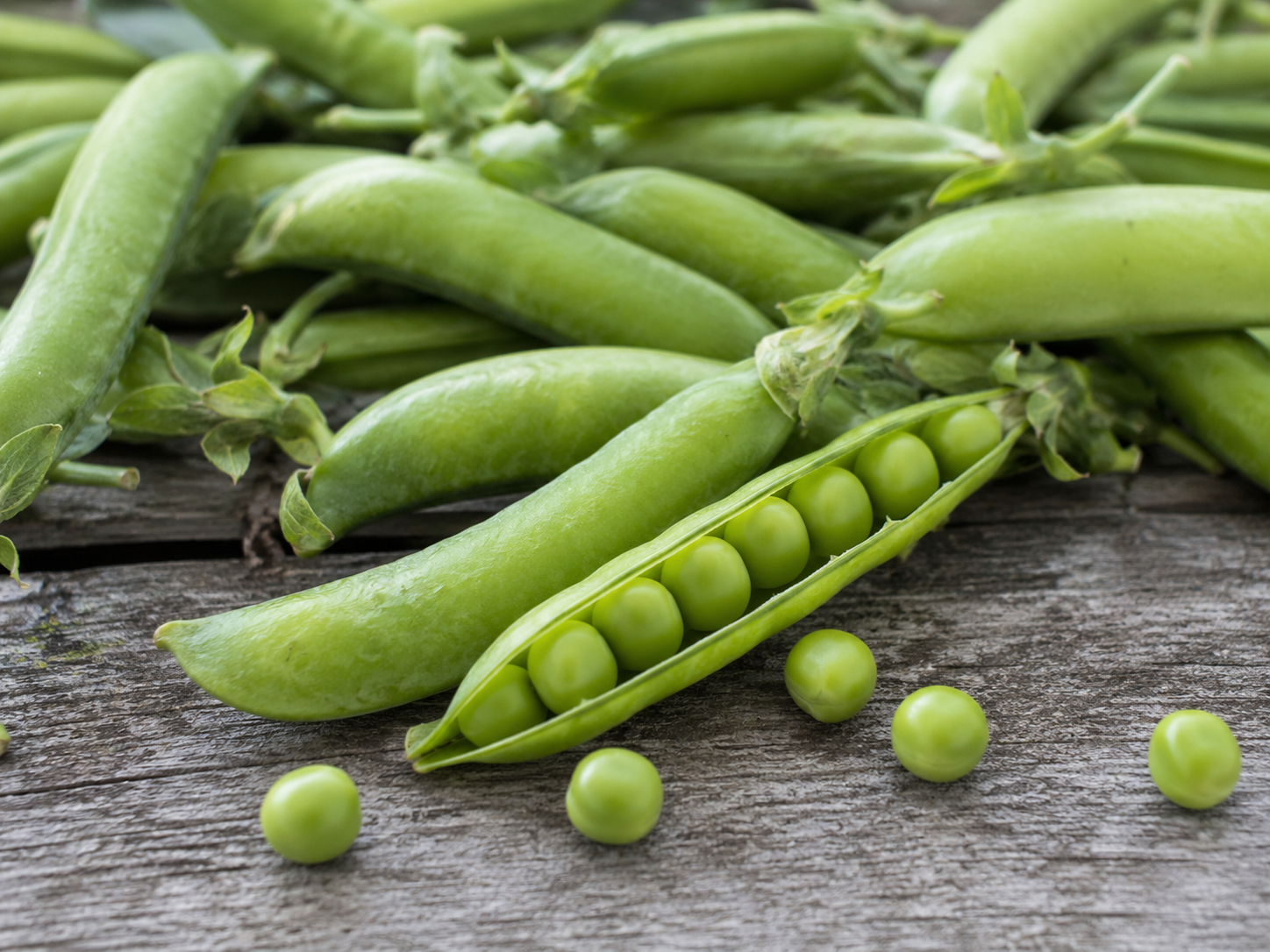 Don-O-Ray Kelowna Farm Fresh Peas Fresh farm-grown green peas at Don-O-Ray Farm market, Kelowna, showcasing crisp, vibrant pea pods harvested for peak freshness