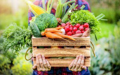 Farm Fresh Produce Grown in Kelowna