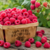 Fresh locally grown raspberries at Don-O-Ray Farms farm market in Kelowna
