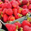 Fresh BC strawberries at Don-O-Ray Farms Kelowna farm market