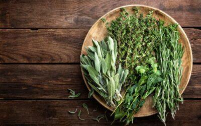 The Value in Fresh Herbs