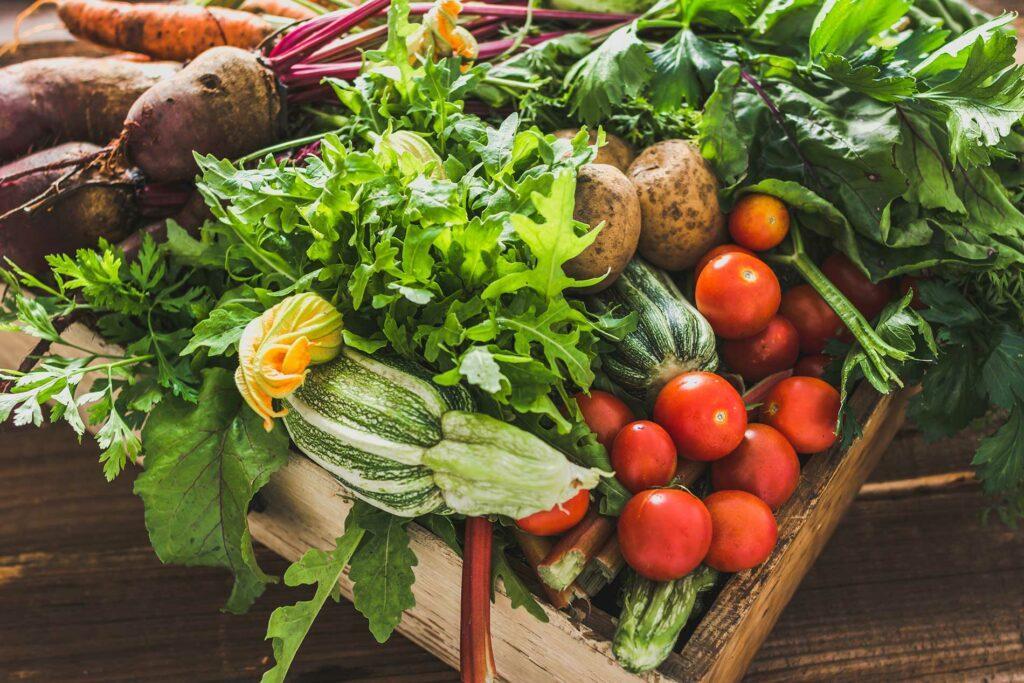 fresh-salad-veggies-with-goat-cheese-for-protein